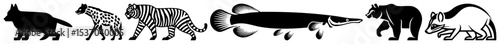 Vector Stylized African Animals and Fish Vector