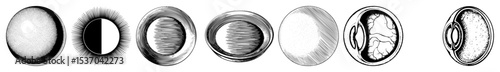 Vector Sequential elliptical shapes illustrate a dynamic transformation process.