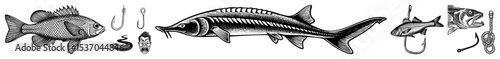 Vector Detailed illustrations of various fish species with fishing hooks.