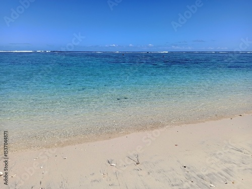 tropical paradise : scenic beach in Saint Gilles, la Reunion in bright sunlight