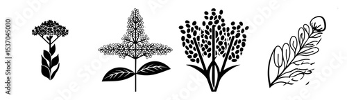 Vector Botanical set featuring diverse flower heads and foliage.