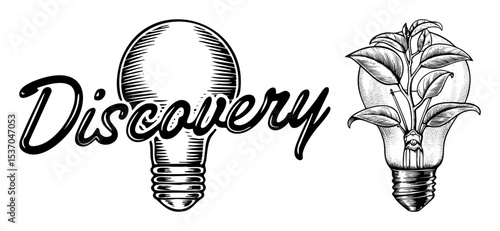Vector Discovery concept featuring a lightbulb transforming into flourishing plant life.