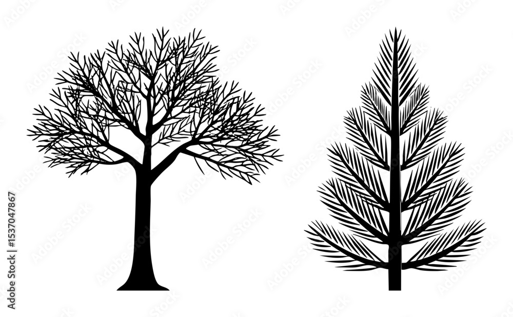 Obraz premium Vector Stylized deciduous and coniferous tree silhouettes showcase natural forms.