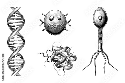 Vector Detailed biological illustrations depict DNA cells and a sperm.