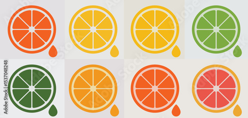 Citrus fruit slices graphic design elements