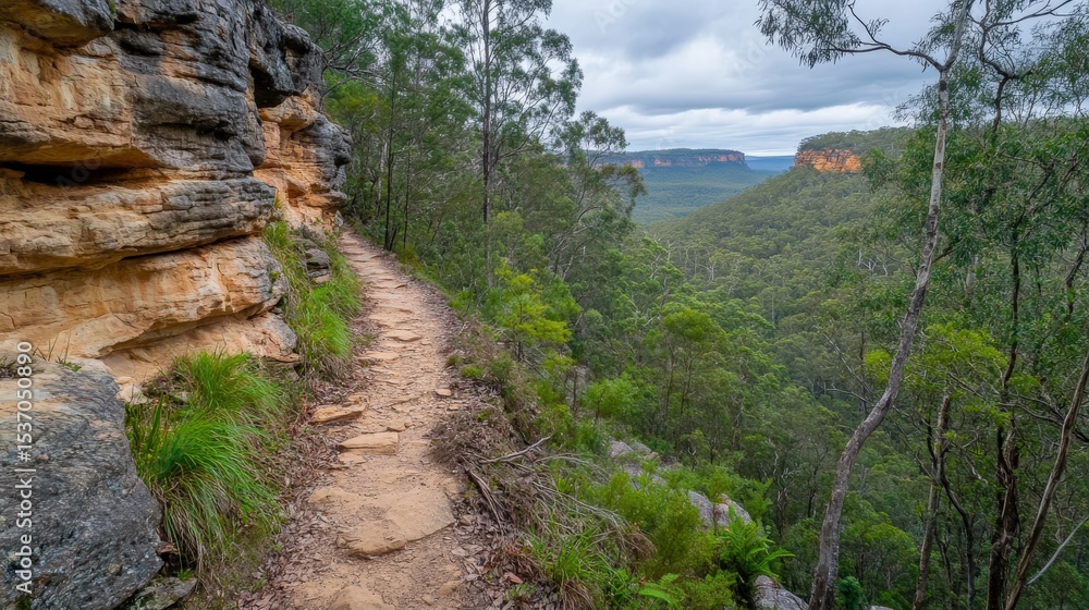 Fototapeta premium Serene Hiking Trail Surrounded by Lush Greenery Within Rocky Terrain Leading to Scenic Viewpoint in Wilderness Landscape