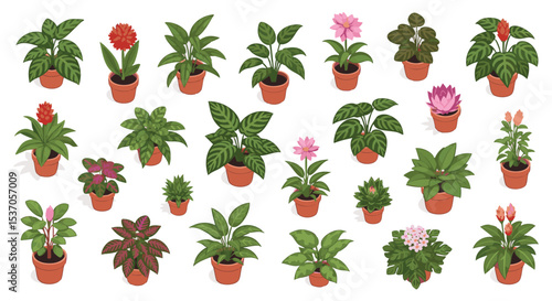 Vibrant Isometric Collection of Potted Houseplants Vector illustration Pack png Diverse Foliage, Blooming Flowers, and Earthy Terracotta Pots