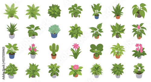 Vibrant Isometric Collection of Potted Houseplants Vector illustration Pack png Ferns, Succulents, Tropicals, and Blooming Flowers in Diverse Pots