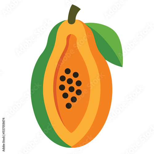 Isolated Half Papaya with Seeds, Green Skin, Leaves, and Brown Stem Illustration