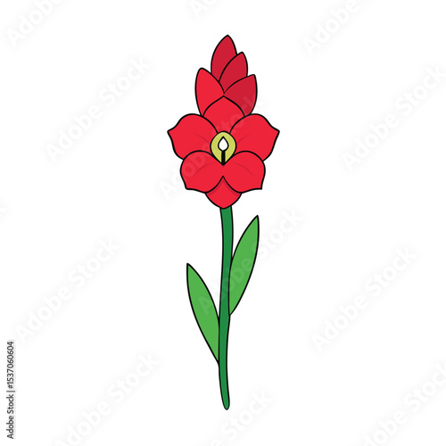 Simple Red Ginger Lily Flower Illustration with Green Stem and Leaves Isolated