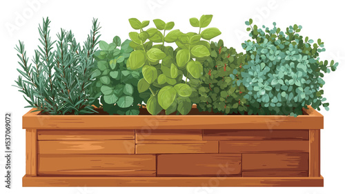 A digital illustration of a rectangular wooden planter box filled with four types of herbs: rosemary, basil, oregano, and thyme. The herbs are depicted in a stylized, slightly cartoonish manner