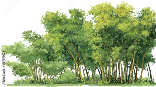 A digital painting or illustration depicting a dense grove of bamboo plants. The artwork is rendered in a style reminiscent of watercolor, with soft, blended colors and visible brushstrokes.  
