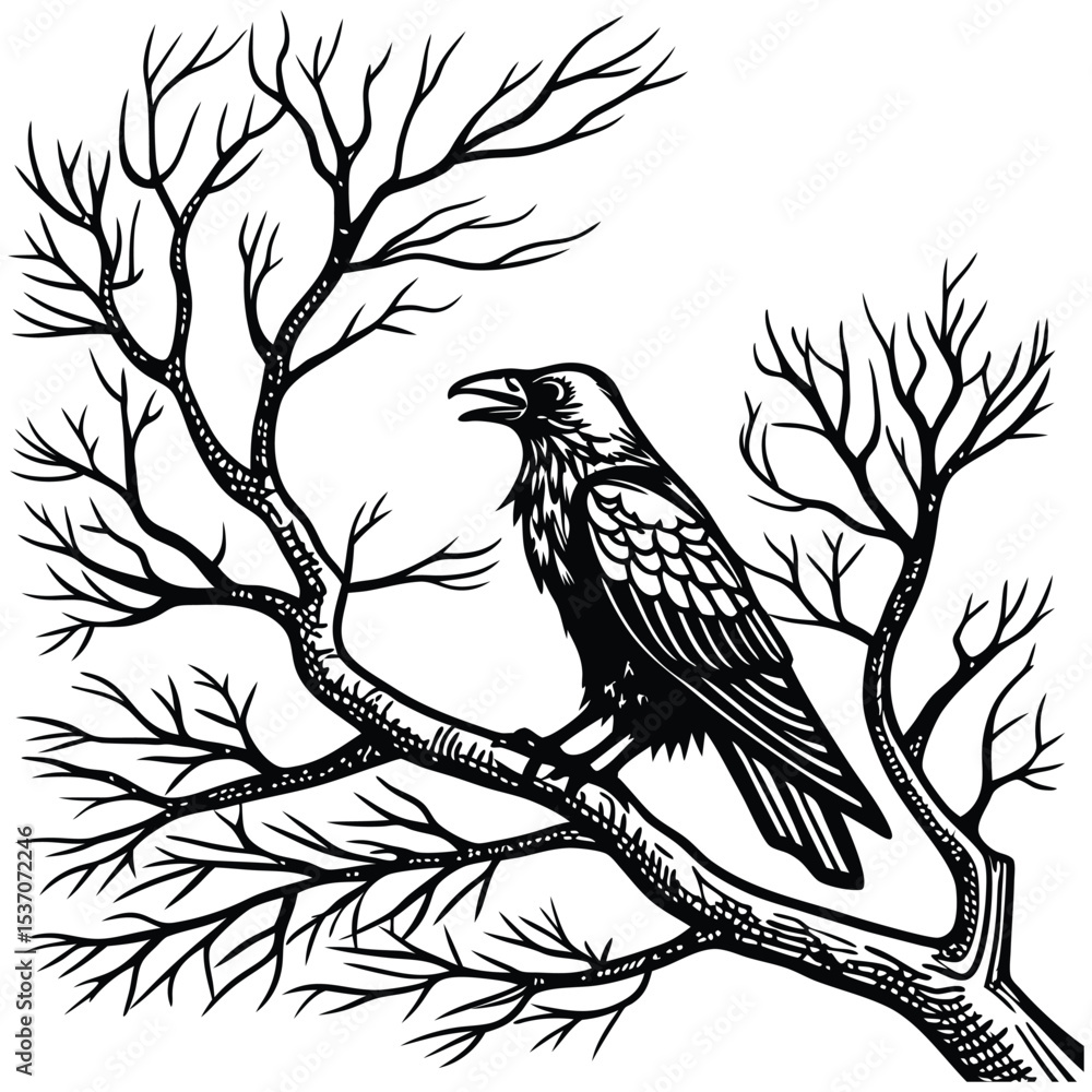 Black Raven on Bare Tree Branch Ink Drawing Illustration Black Raven on Bare Tree Branch Ink Drawing Illustration