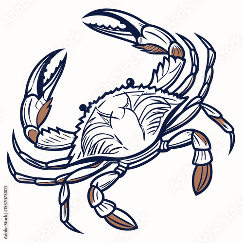 Majestic blue crab illustration nautical design seafood