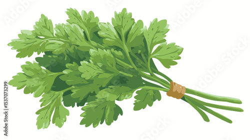 A digital illustration of a bunch of fresh parsley tied with a light brown band. The parsley is depicted with vibrant green leaves, showing detail in the leaf structure. The image is isolated on a