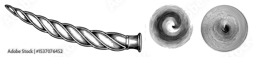 Vector Spiral forms showcase geometric progression and organic curves.