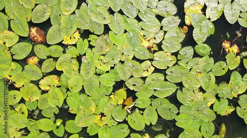 Berlin Spandau Aerial view of a riverside promenade with small boats docked along the edge