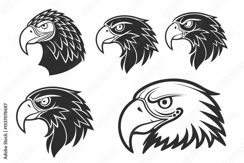 Fototapeta premium set of birds