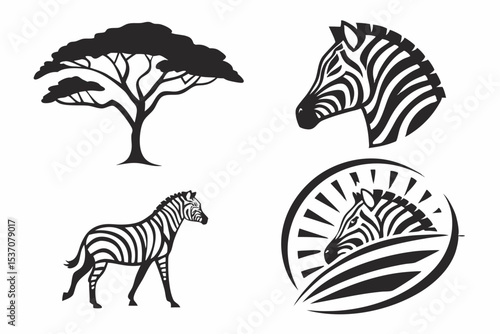zebra