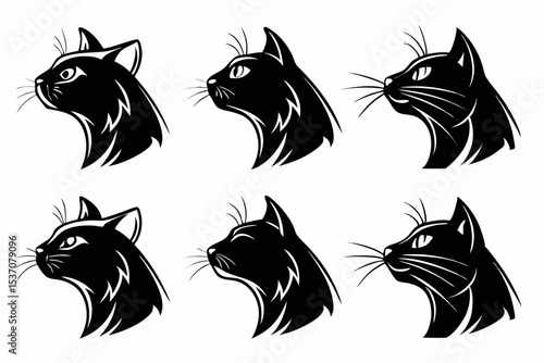 Wallpaper Mural black and white cats Torontodigital.ca