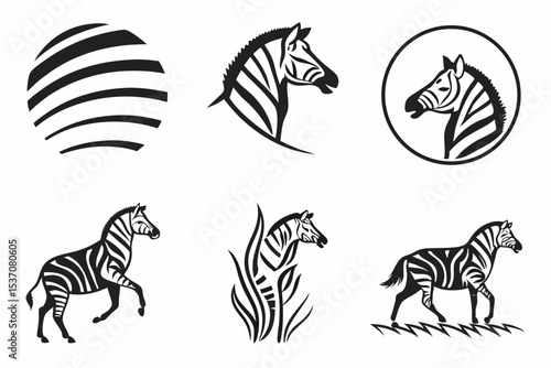 zebra