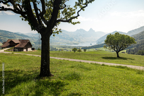 Lake Lauerzersee in Central Switzerland on a beautiful summer day