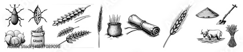 Vector Vintage agricultural illustrations depict grains insects and farming tools.