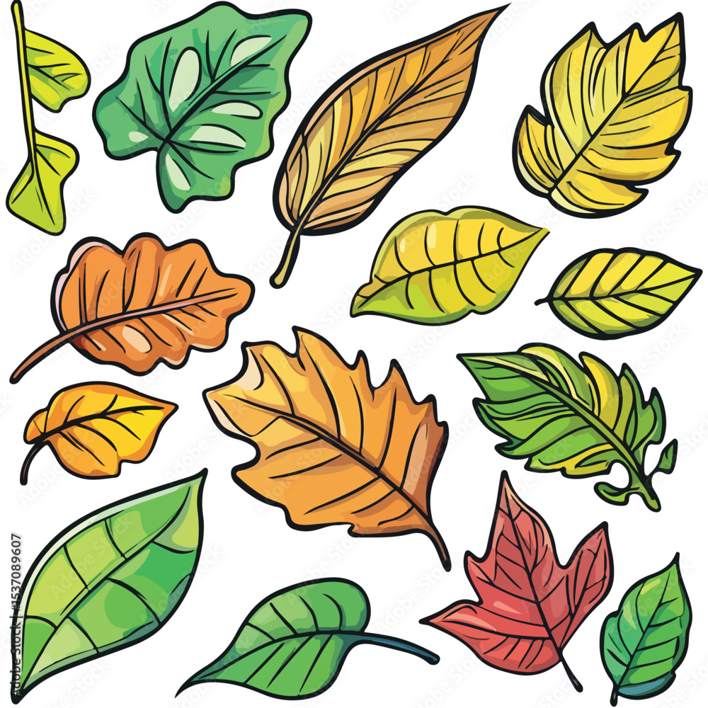Obraz premium Set of spring leaves, Vector illustration
