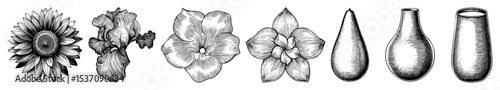 Vector Botanical Collection: Sunflower Orchids and Decorative Vases