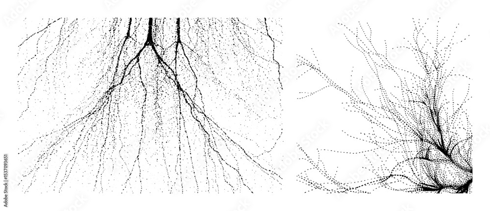 Fototapeta premium Vector Intricate branching network with organic forms.
