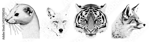 Vector Detailed stippled illustrations of a ferret wolf tiger and fox heads.