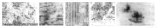 Vector Detailed vector of multiple data points and numeric sequences.
