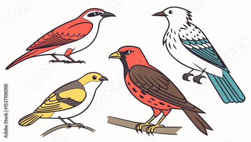 Birds of the World in Flat Design
