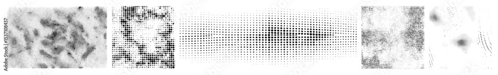 Fototapeta premium Vector Abstract vector lines and shapes create a dynamic composition.