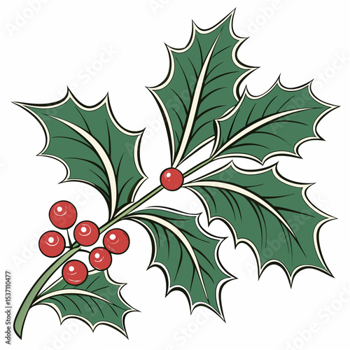 Holly sprig with berries, isolated, transparent background
