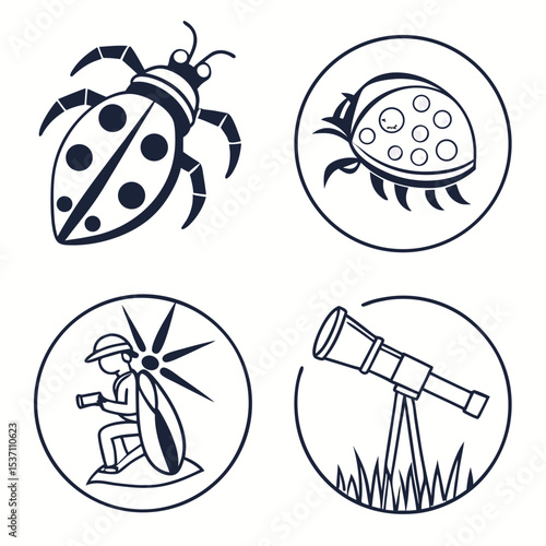 Ladybugs insects nature exploration science education