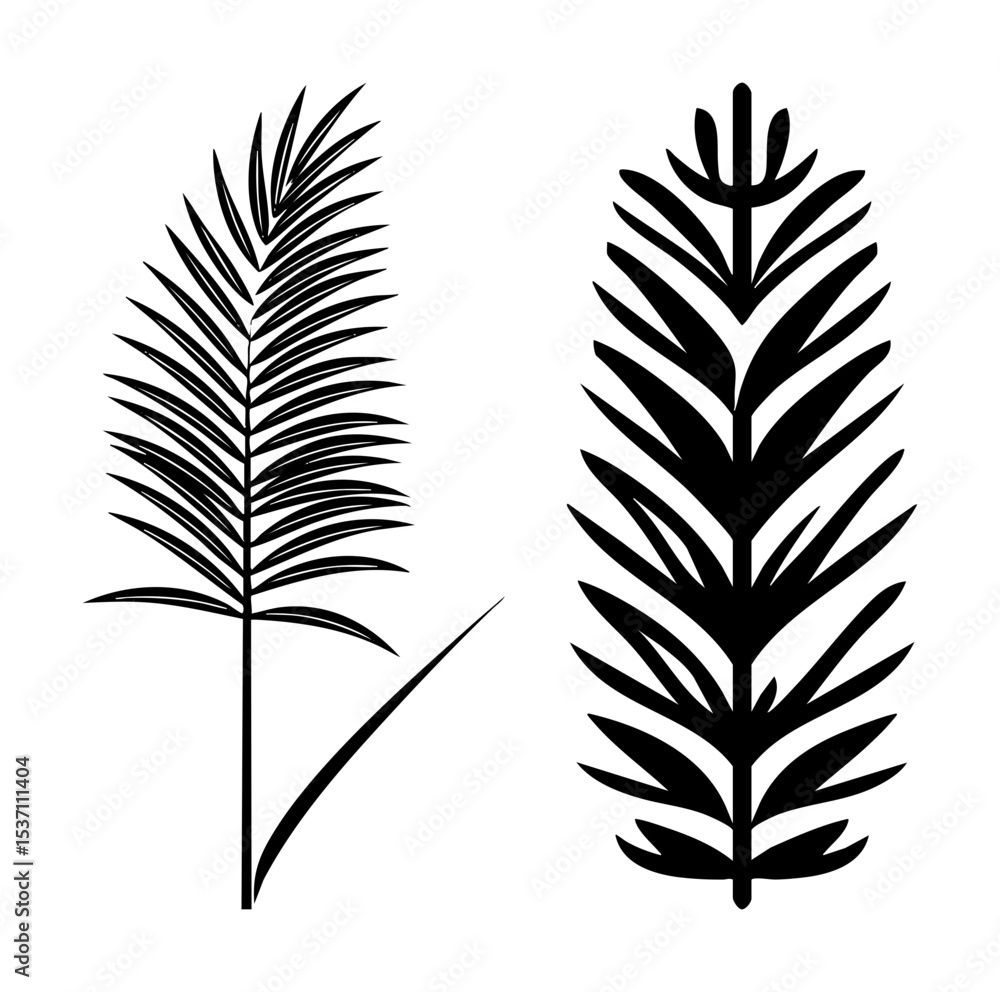 Obraz premium Vector Elegant tropical palm leaves in black and white.