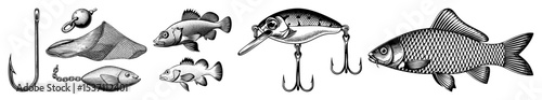 Vector Detailed illustrations of fishing lures and freshwater fish in a vintage engraving style.