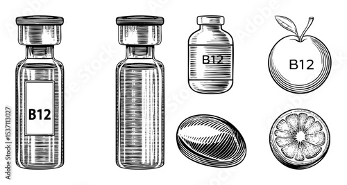 Vector Vitamin B12 Sources : Supplements Fruits and Citrus.