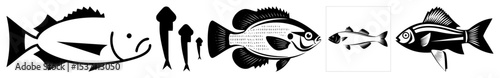 Vector Stylized marine life illustrations depict diverse fish species.