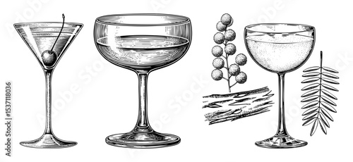Vector Elegant cocktail glasses and botanical illustrations in vintage engraving style.