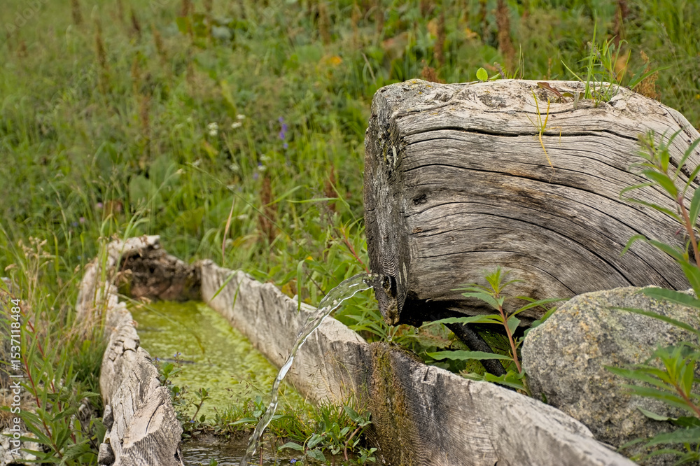Obraz premium drinking fountain and wooden trough in the French alps