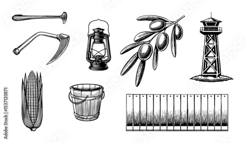 Vector Vintage agricultural tools olive branch and rural structures .