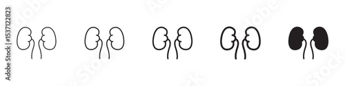 Kidneys icons in black outline, solid and colored style