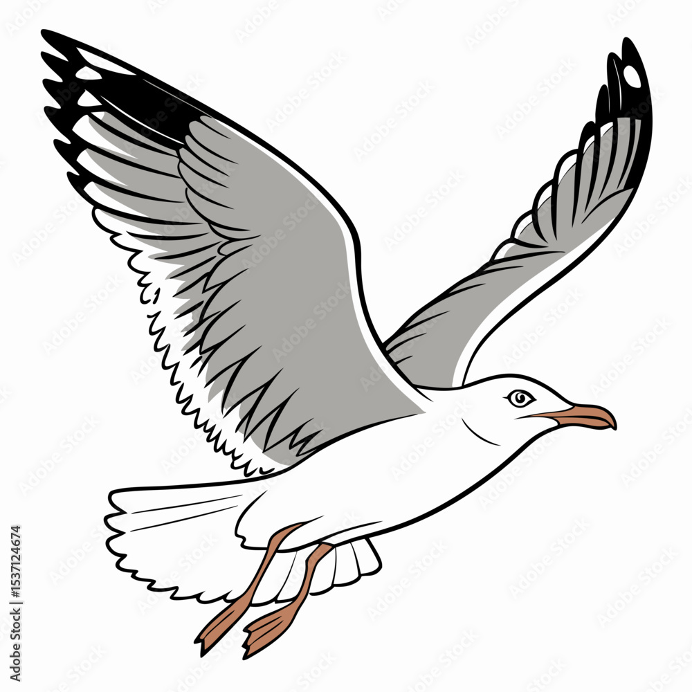 Obraz premium Professional seagull illustration, isolated, transparent background