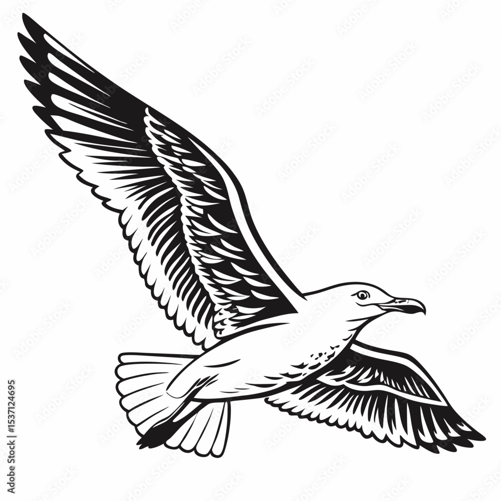 Obraz premium Professional seagull illustration, isolated cutout, transparent background