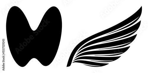 Vector Stylized feather and abstract heart shape .