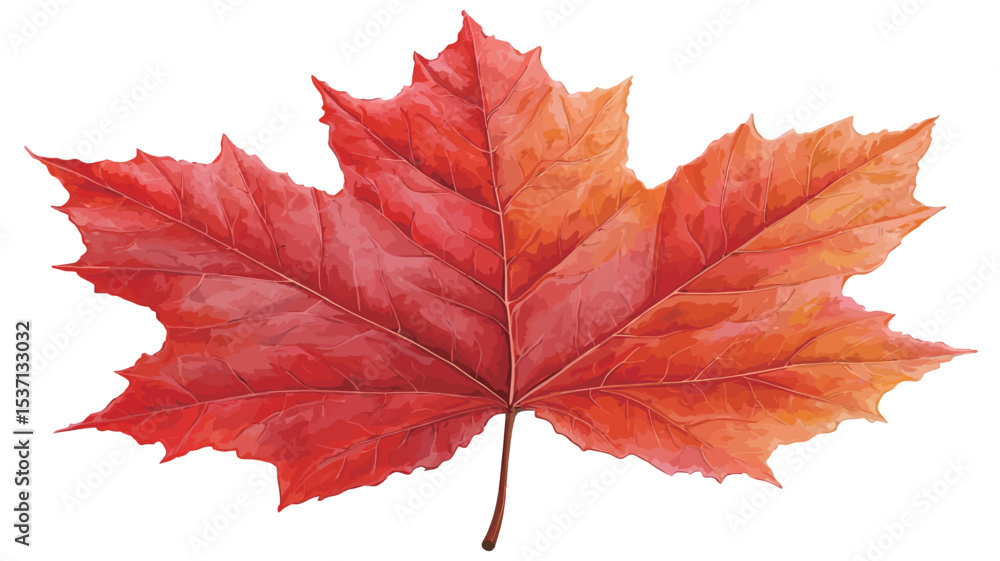 A close-up image of a watercolor painting depicting a single red maple leaf. The leaf is predominantly red with gradations of orange, particularly near the stem and edges. A close-up image of a watercolor painting depicting a single red maple leaf. The leaf is predominantly red with gradations of orange, particularly near the stem and edges.