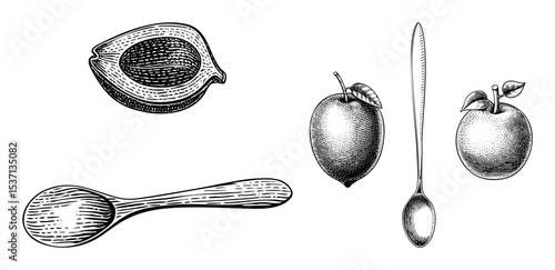 Vector Vintage fruit and kitchen utensil illustrations featuring a lemon  mango and wooden spoon.