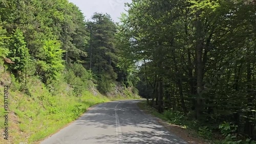 Scenic Drive On The Winding Road Through Lush Green Forest